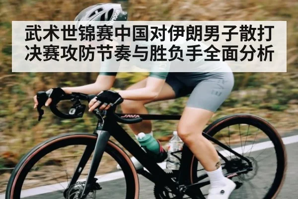 武术世锦赛中国对伊朗男子散打决赛攻防节奏与胜负手全面分析（kaiyun sports）